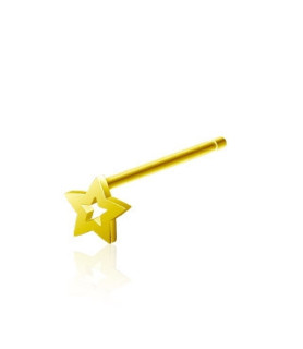 Stjerne til næsepiercingen - Guldbelagt sølvsmykke