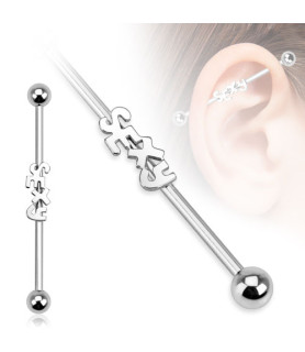 Industrial Barbell med SEXY...