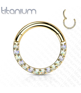 T23 Titanium Ring -  besat...
